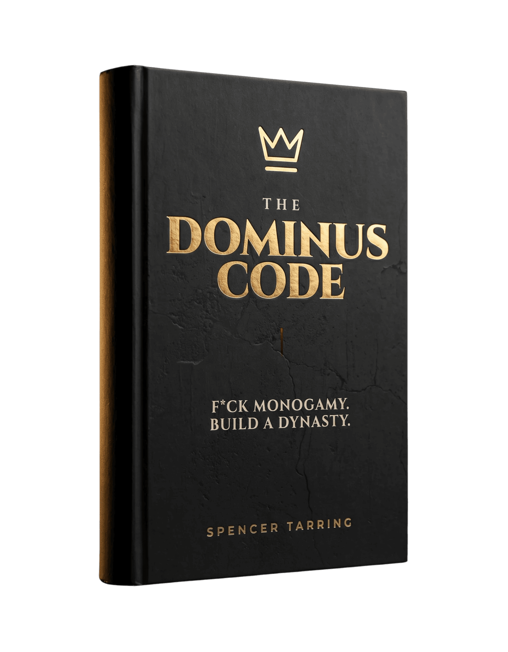 The Dominus Code hardcover with its published black and gold cover